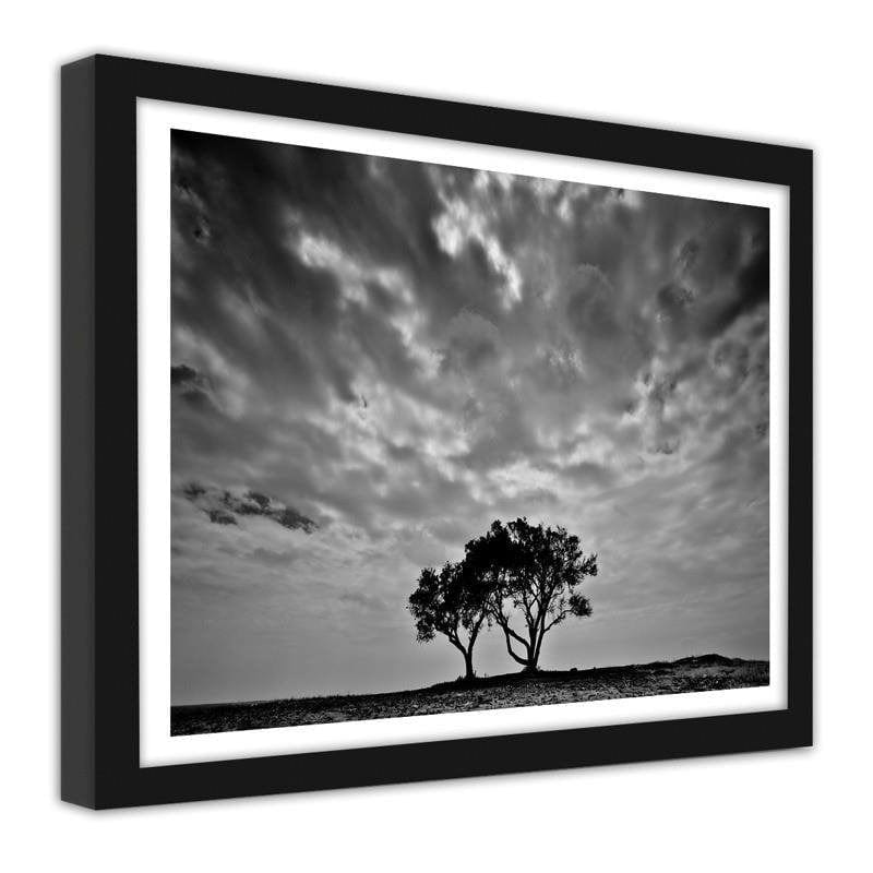 Glezna melnā rāmī - Lonely trees  Home Trends