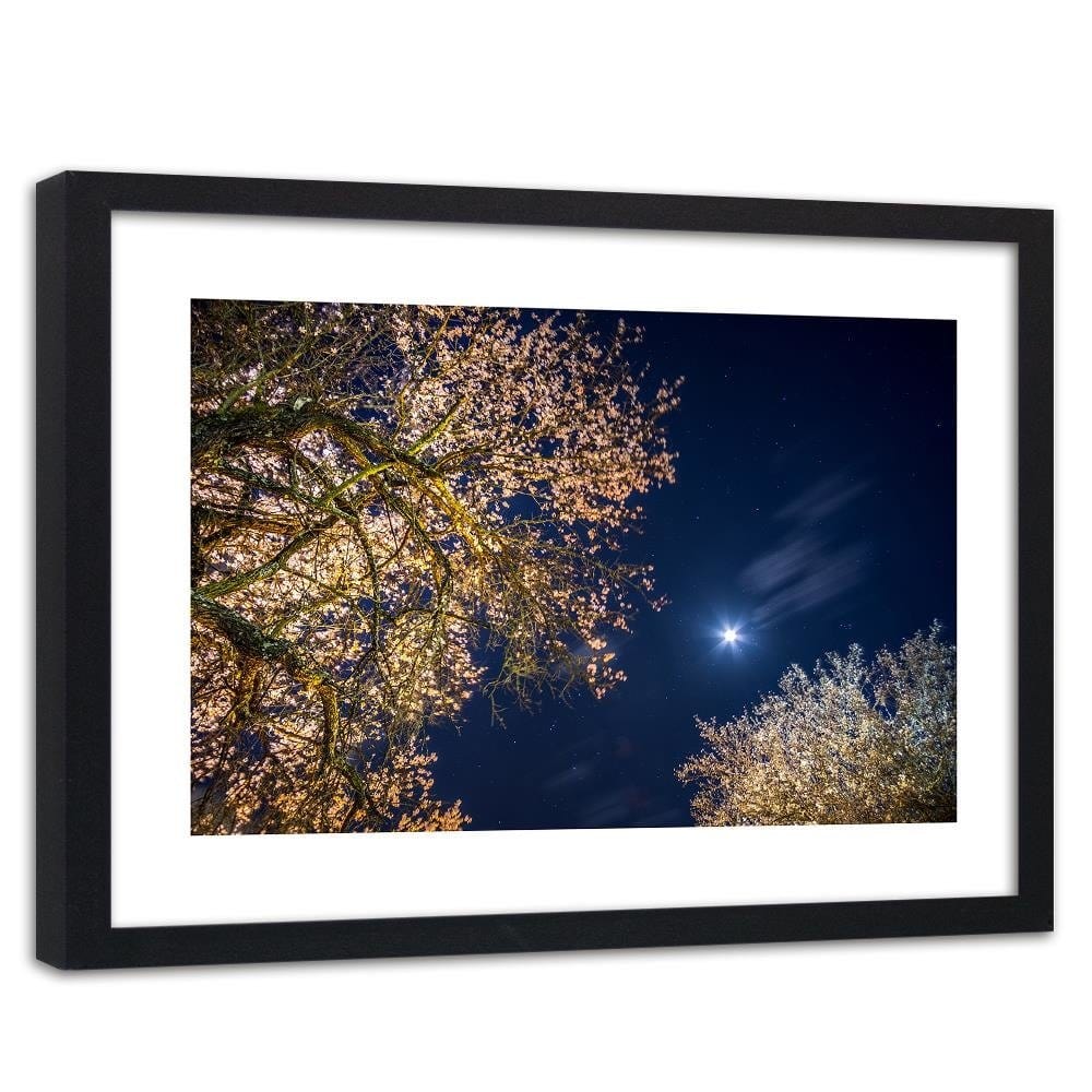 Glezna melnā rāmī - Moon Over Trees  Home Trends