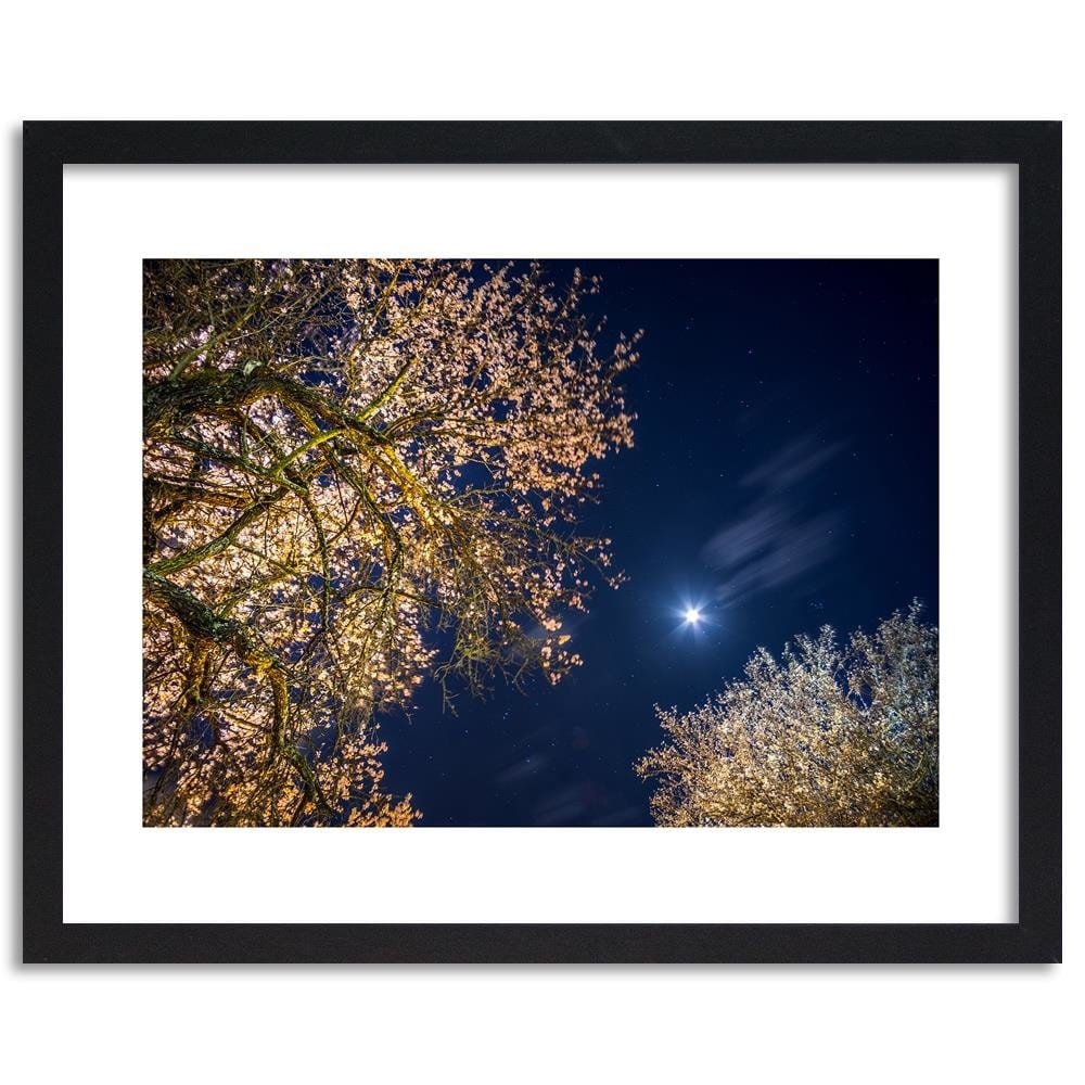 Glezna melnā rāmī - Moon Over Trees  Home Trends