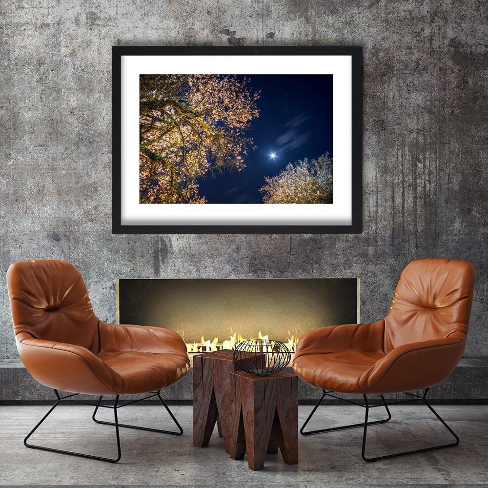 Glezna melnā rāmī - Moon Over Trees  Home Trends