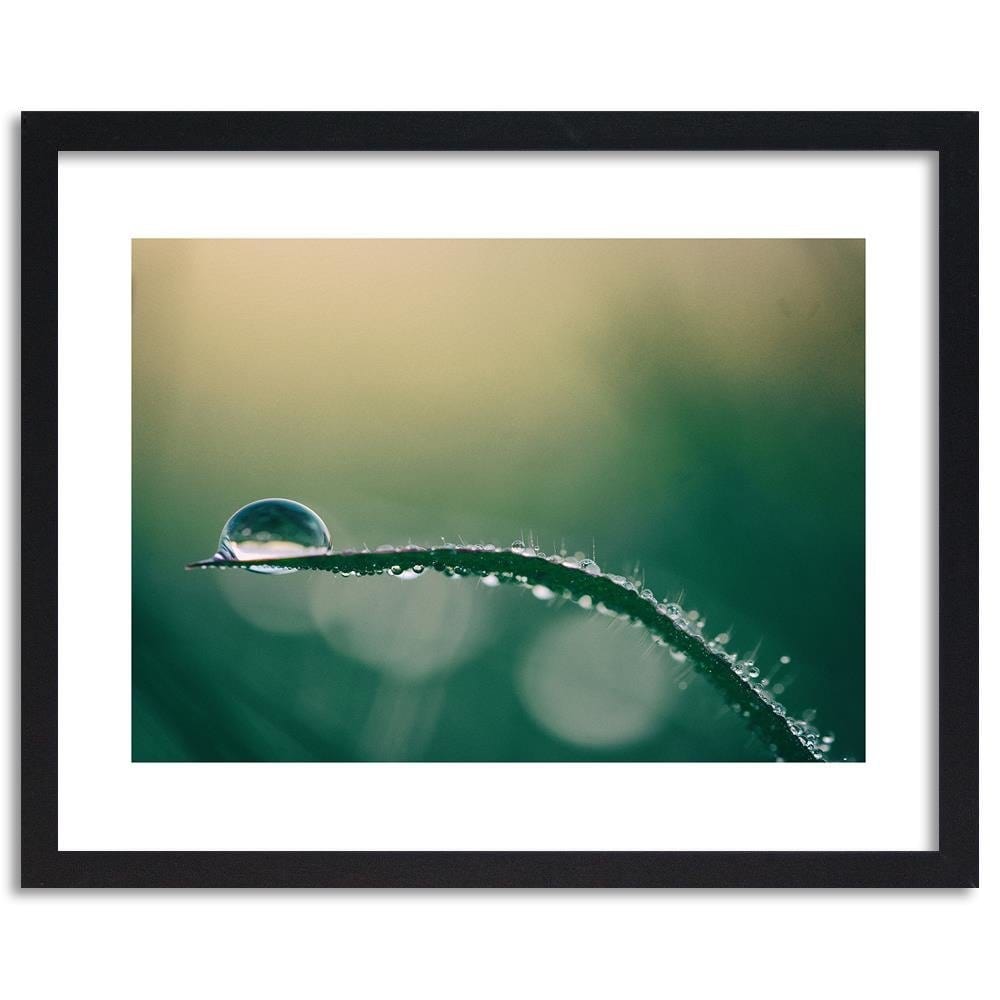 Glezna melnā rāmī - Morning Dew  Home Trends