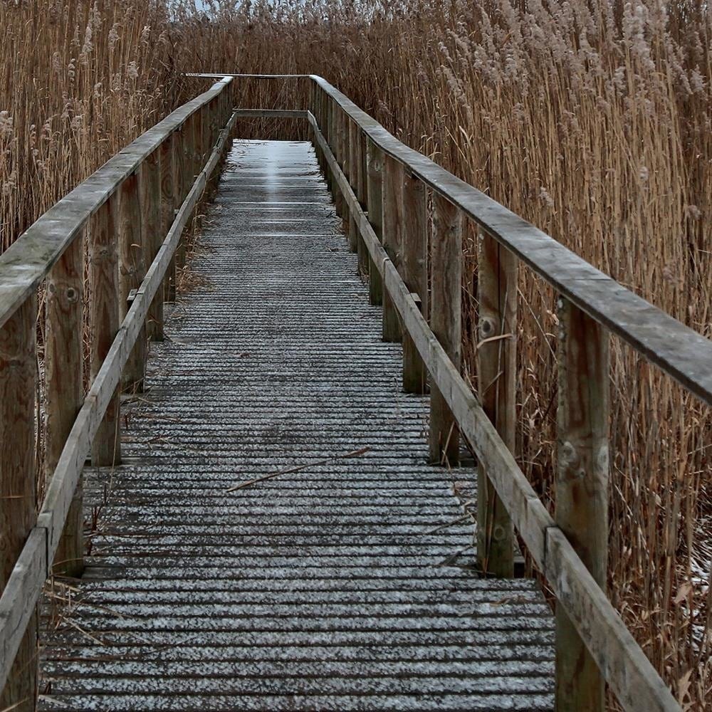 Glezna melnā rāmī - Old Bridge In Winter  Home Trends