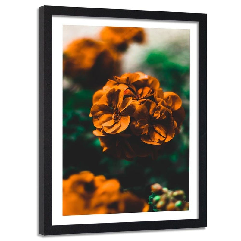 Glezna melnā rāmī - Orange Flowers  Home Trends