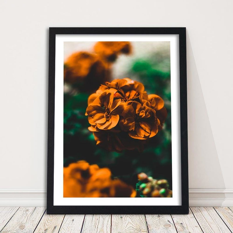 Glezna melnā rāmī - Orange Flowers  Home Trends