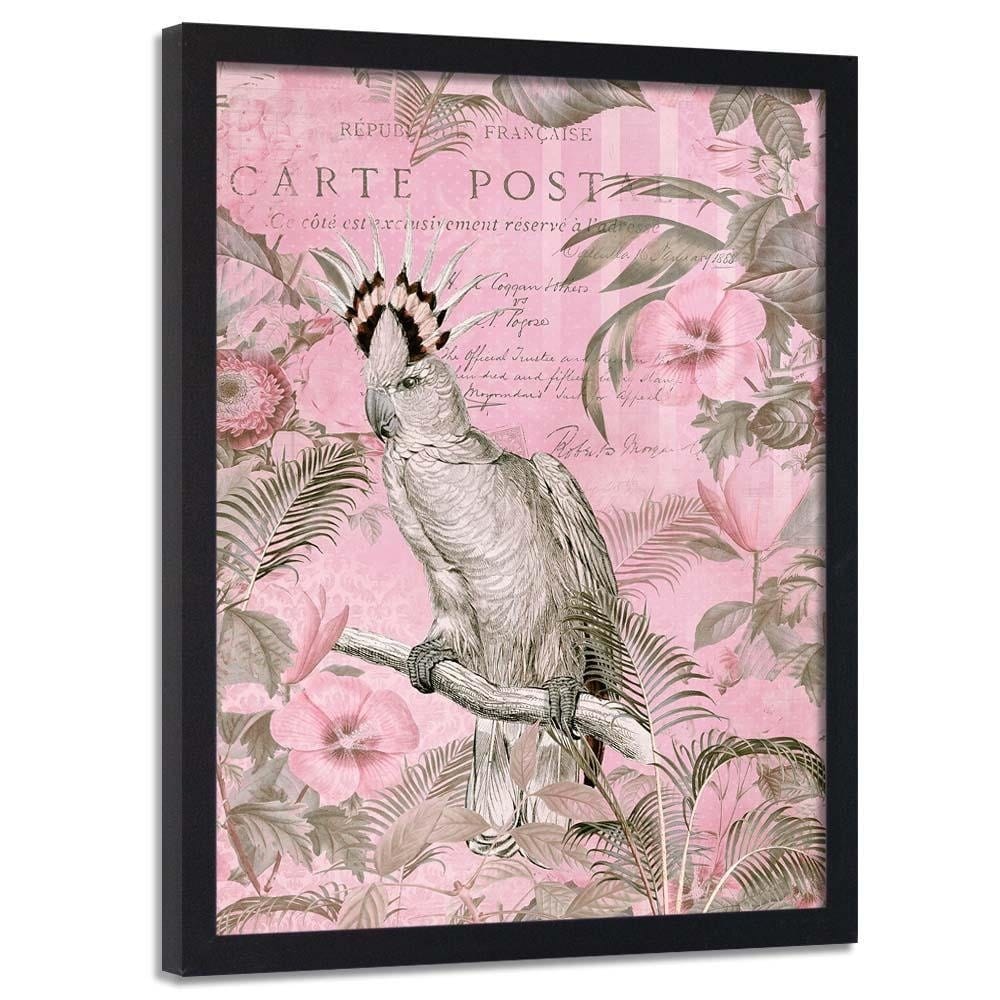 Glezna melnā rāmī - Parrot Queen  Home Trends