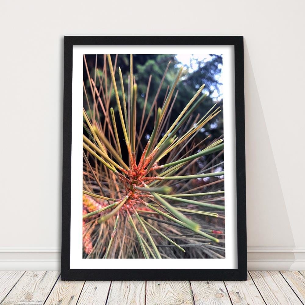 Glezna melnā rāmī - Pine Needles  Home Trends