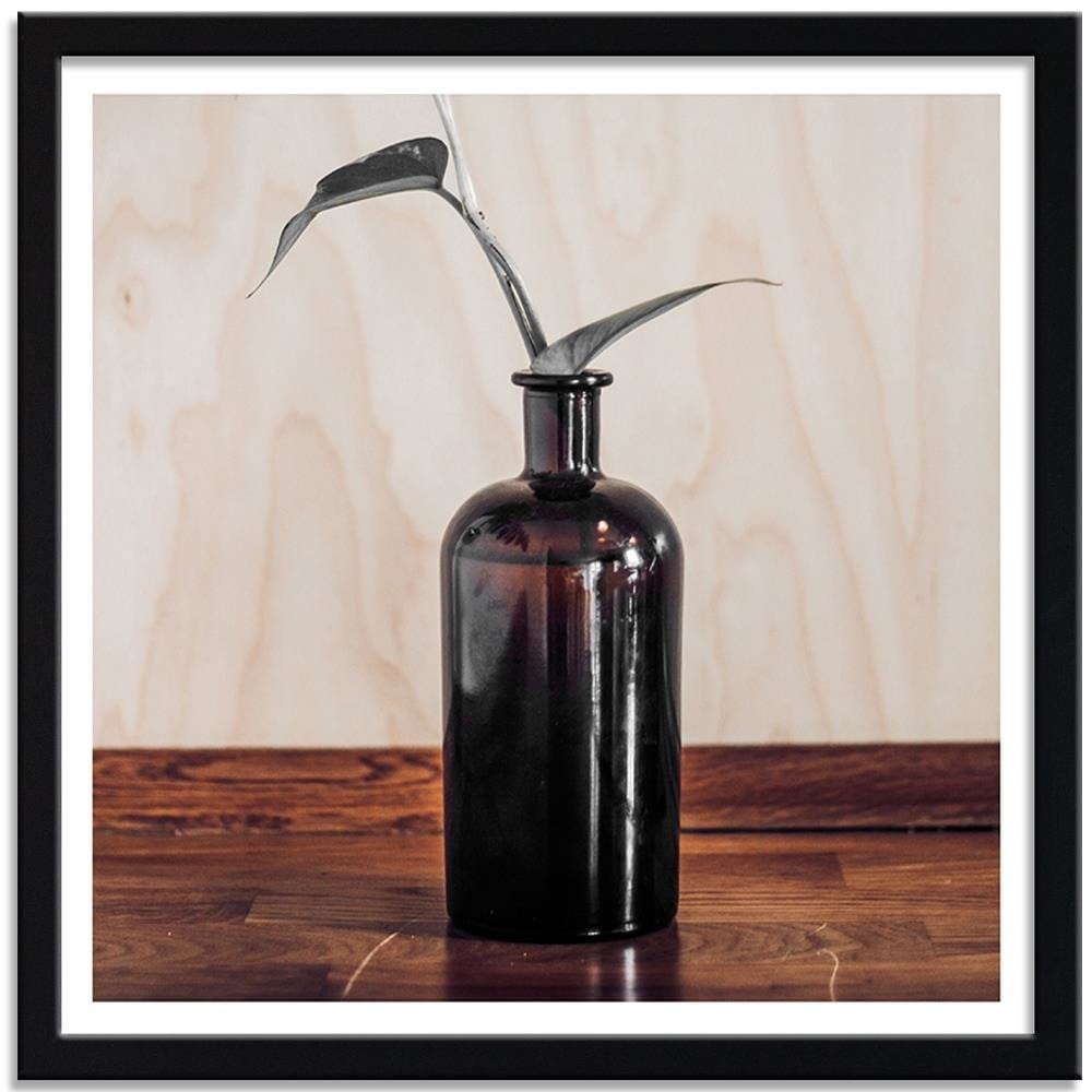 Glezna melnā rāmī - Plant In A Bottle  Home Trends