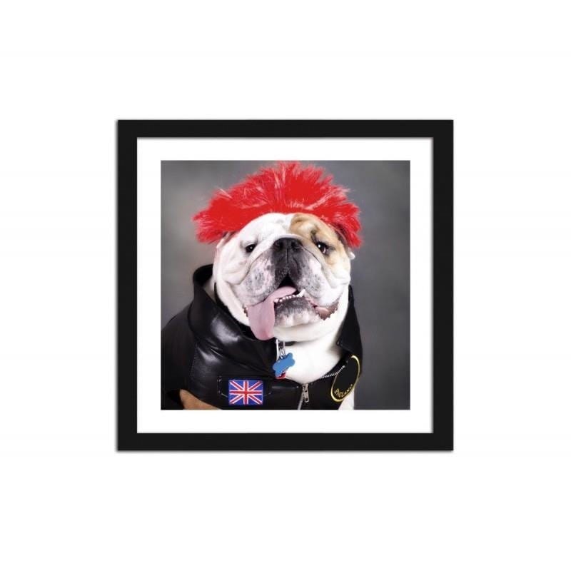 Glezna melnā rāmī - Punk dog small photo - hidden  Home Trends