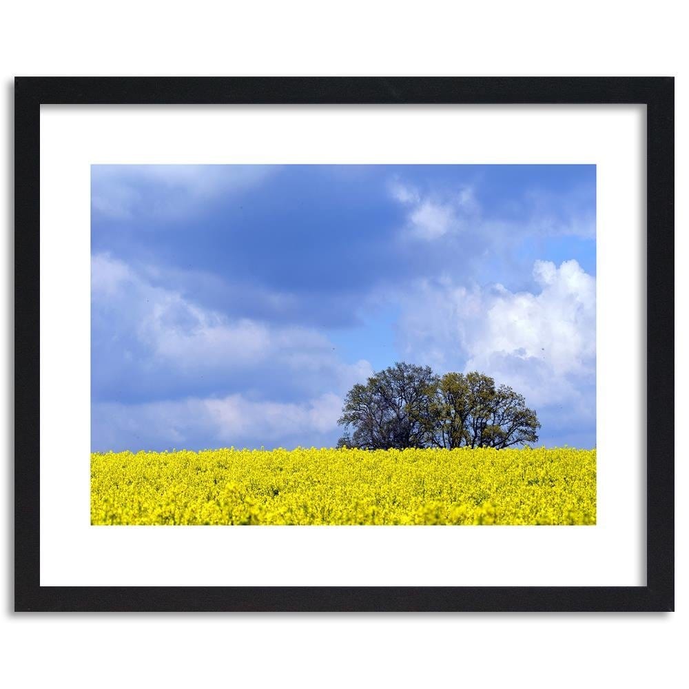 Glezna melnā rāmī - Rapeseed And Trees  Home Trends