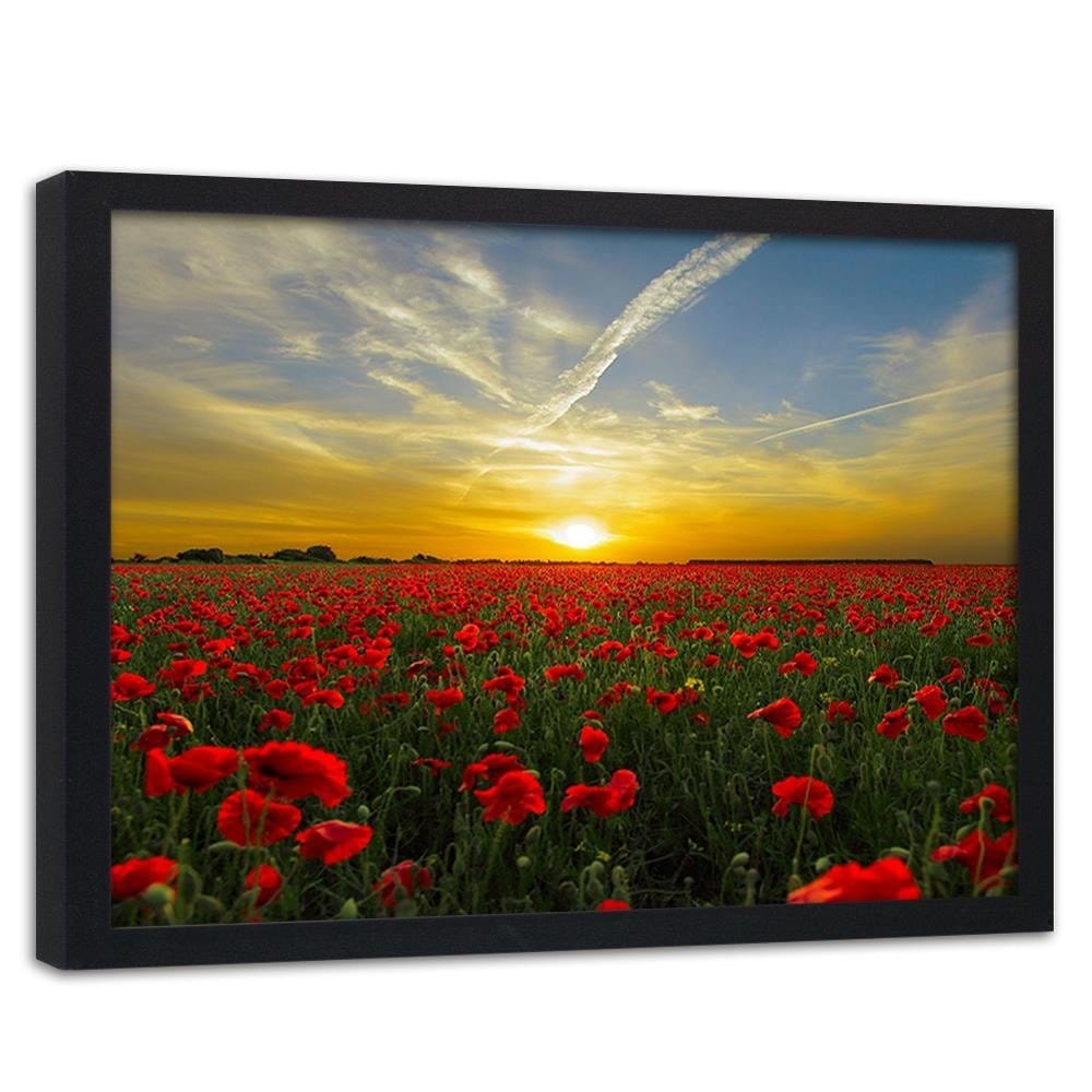 Glezna melnā rāmī - Red Poppy Flowers  Home Trends