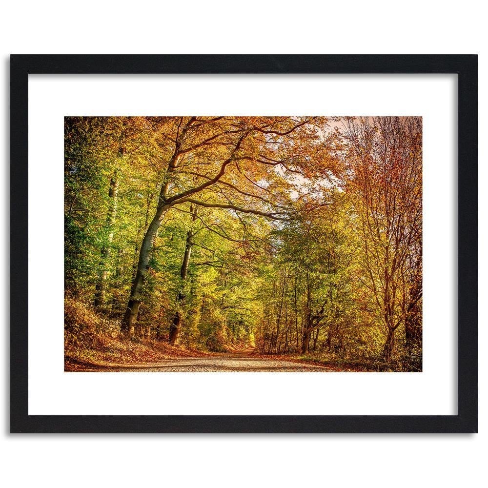 Glezna melnā rāmī - Road In The Autumn Forest  Home Trends