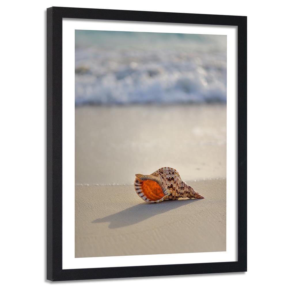Glezna melnā rāmī - Shell On The Beach  Home Trends
