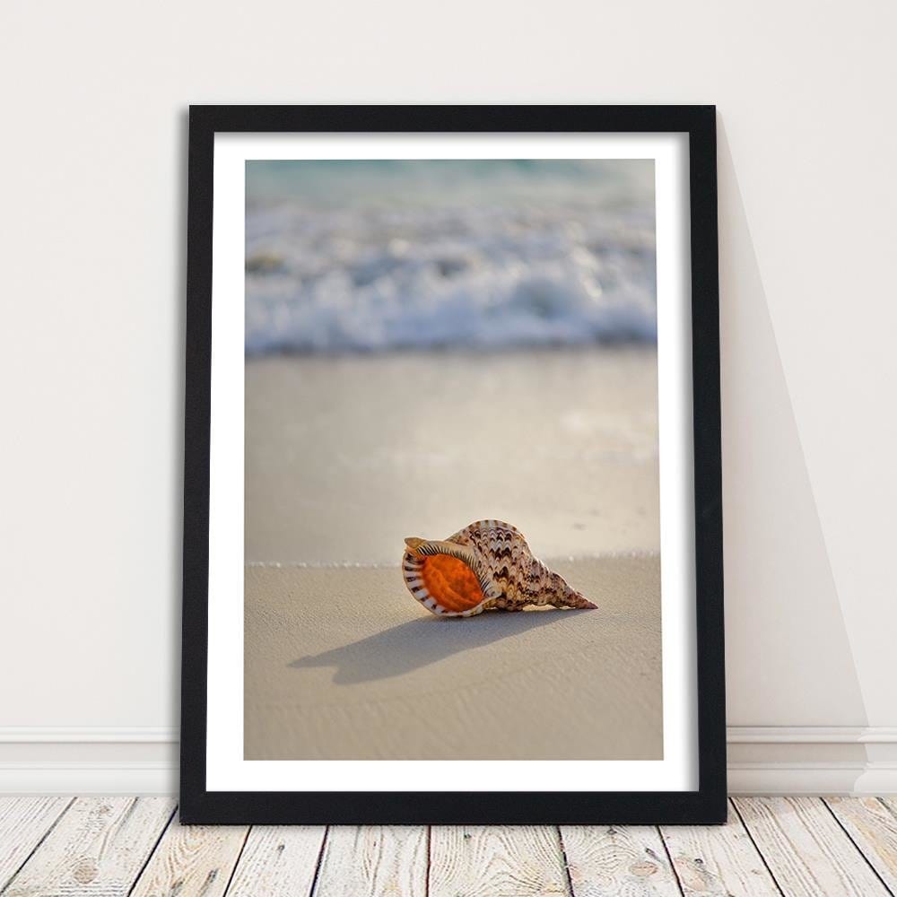 Glezna melnā rāmī - Shell On The Beach  Home Trends