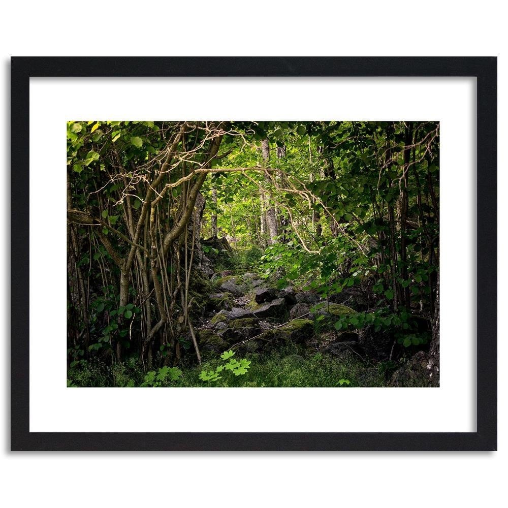 Glezna melnā rāmī - Stones In The Forest  Home Trends