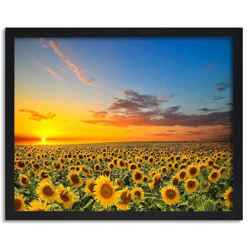 Glezna melnā rāmī - Sunflowers  Home Trends