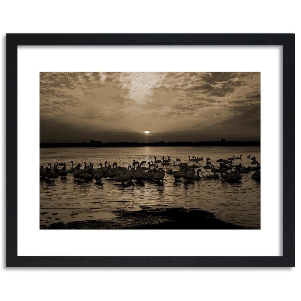 Glezna melnā rāmī - Swans On Shore 1  Home Trends