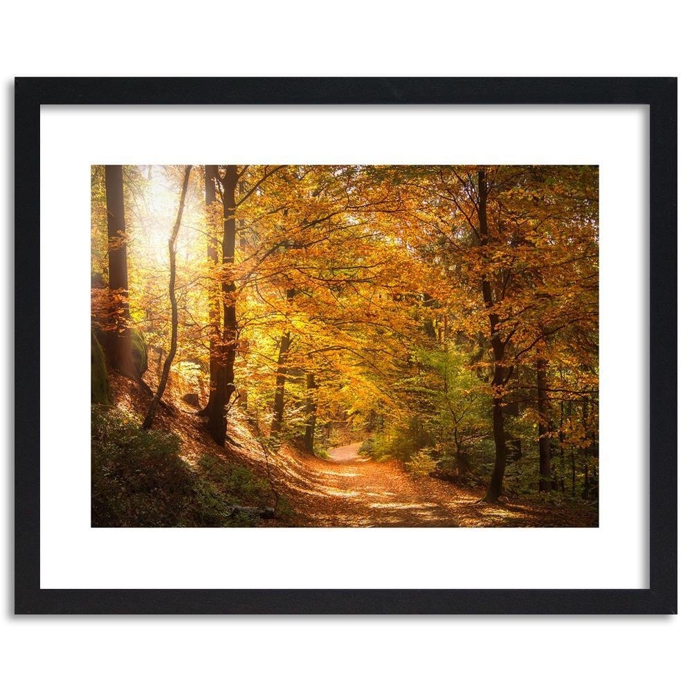 Glezna melnā rāmī - The Leaves On The Forest Road  Home Trends