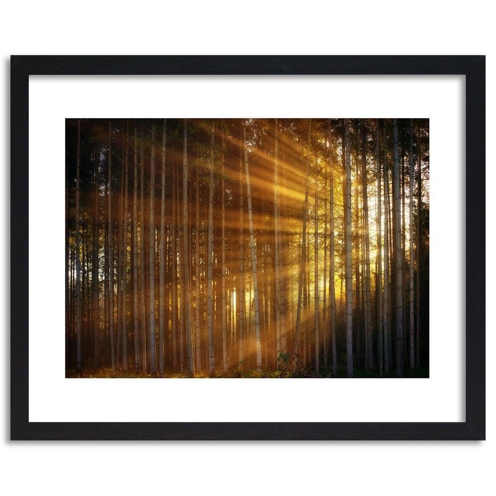 Glezna melnā rāmī - The Rays Of The Sun In The Dense Forest  Home Trends