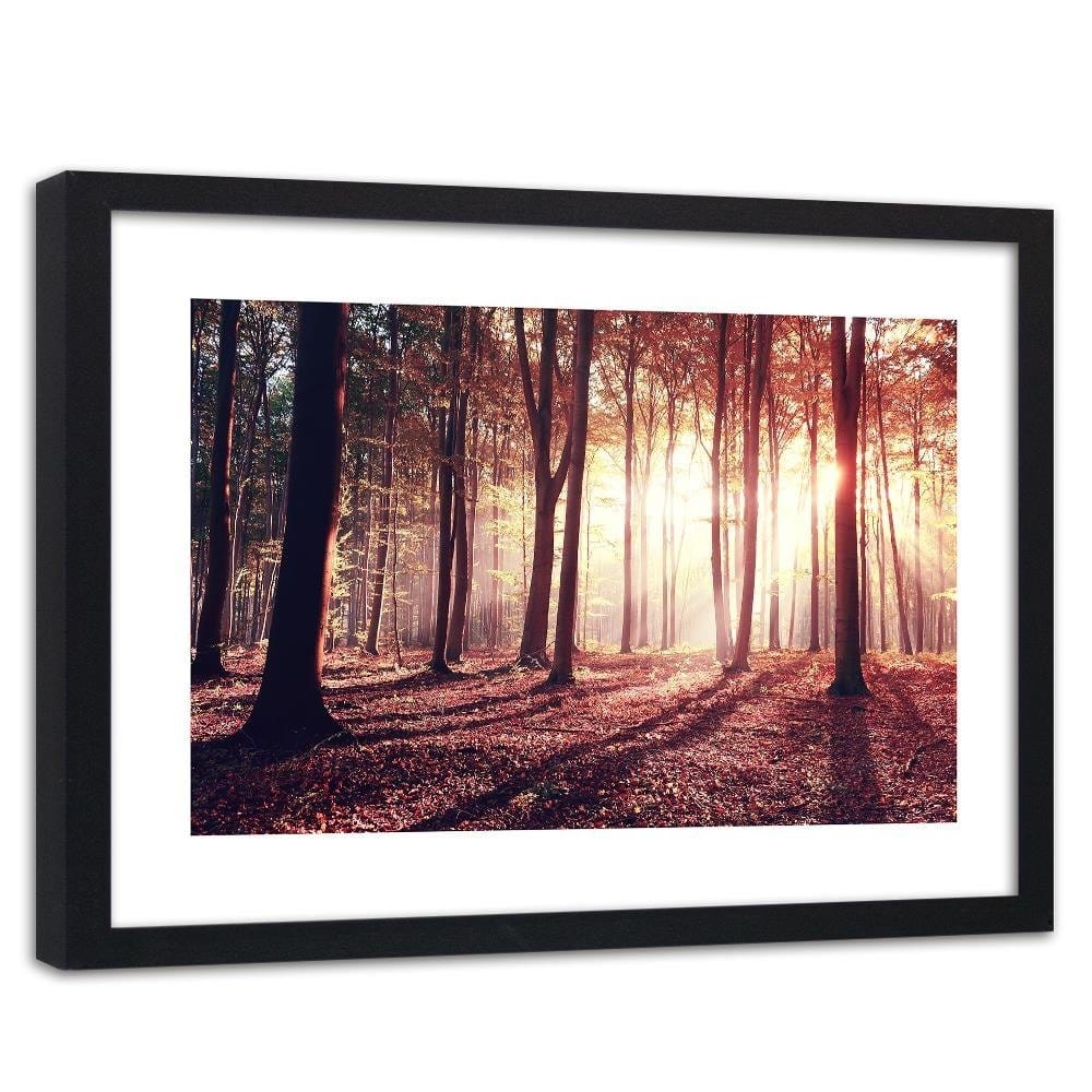 Glezna melnā rāmī - The Rays Of The Sun Through The Trees  Home Trends