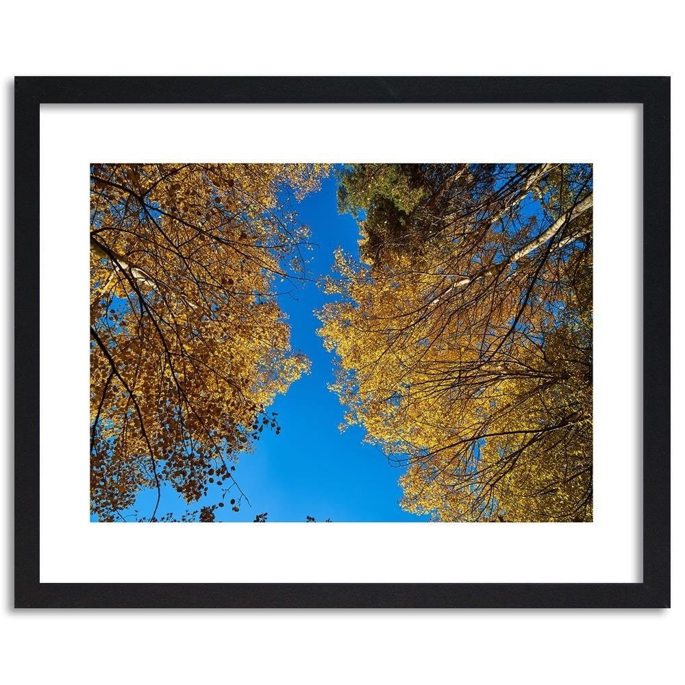 Glezna melnā rāmī - The Tops Of Trees In Autumn  Home Trends