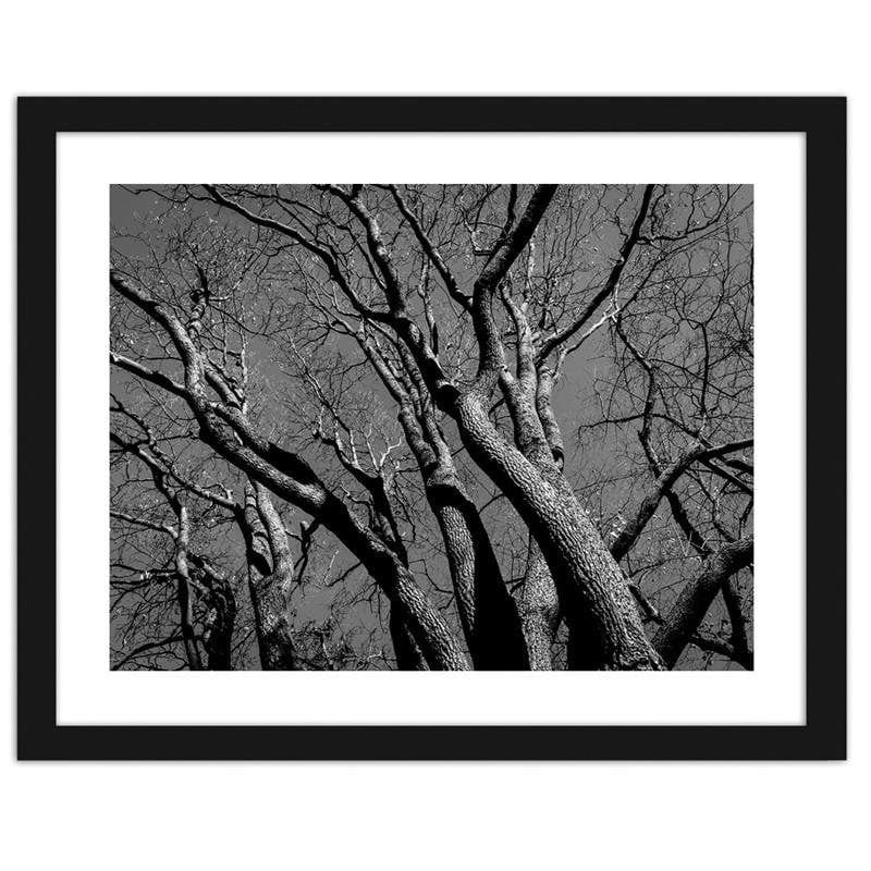 Glezna melnā rāmī - Tree crown 2  Home Trends