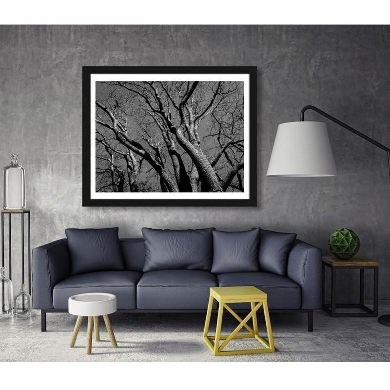 Glezna melnā rāmī - Tree crown 2  Home Trends