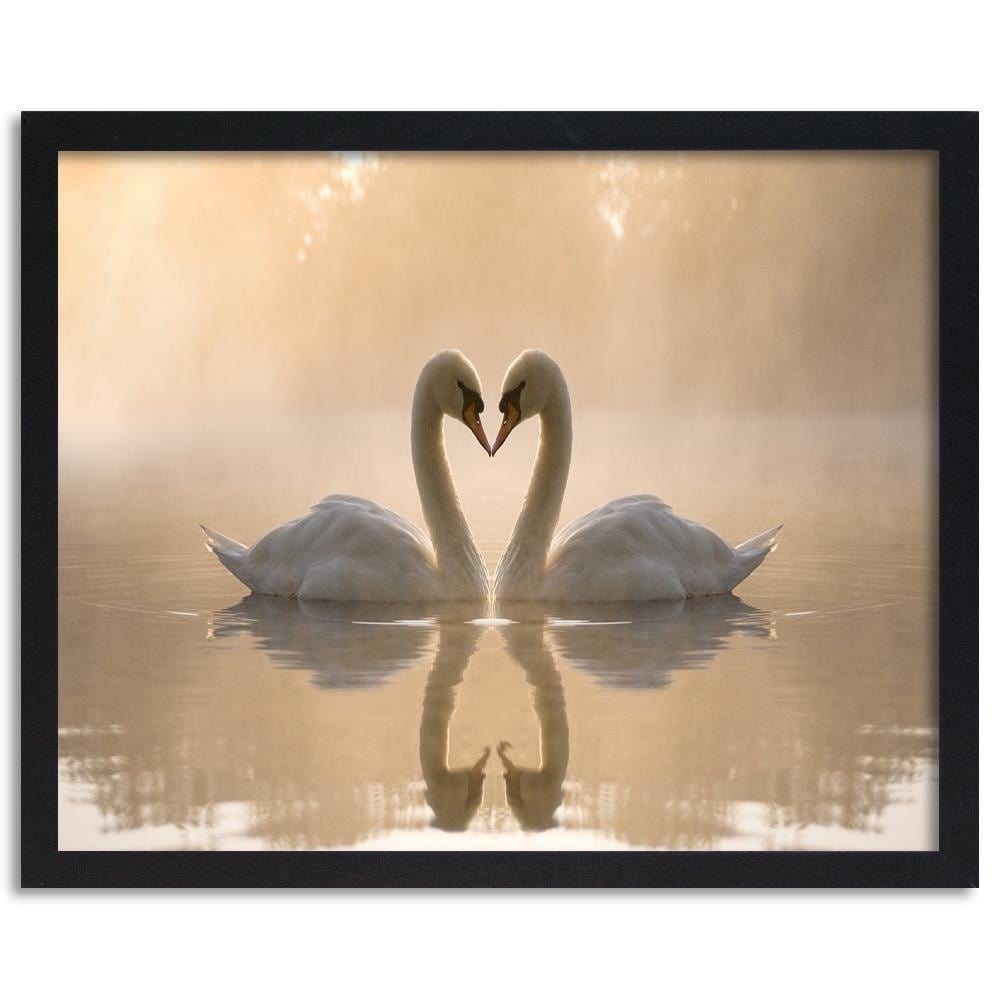 Glezna melnā rāmī - Two Swans  Home Trends