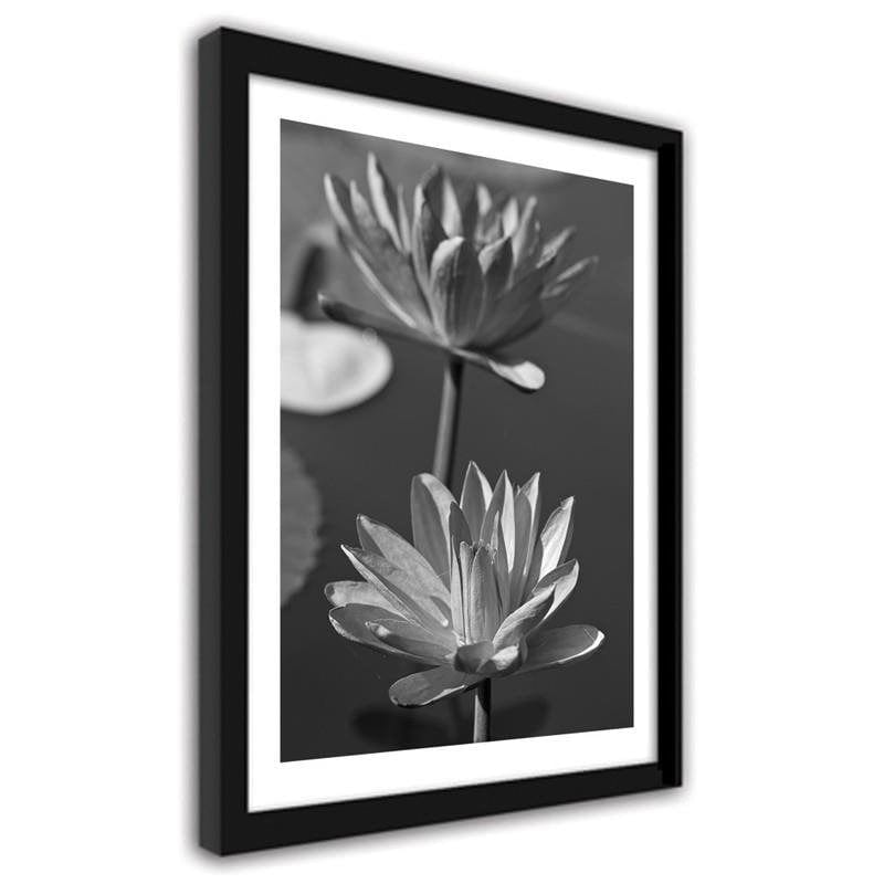 Glezna melnā rāmī - Two water lilies  Home Trends
