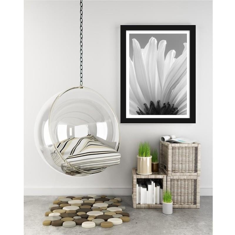 Glezna melnā rāmī - White chrysanthemums 2  Home Trends