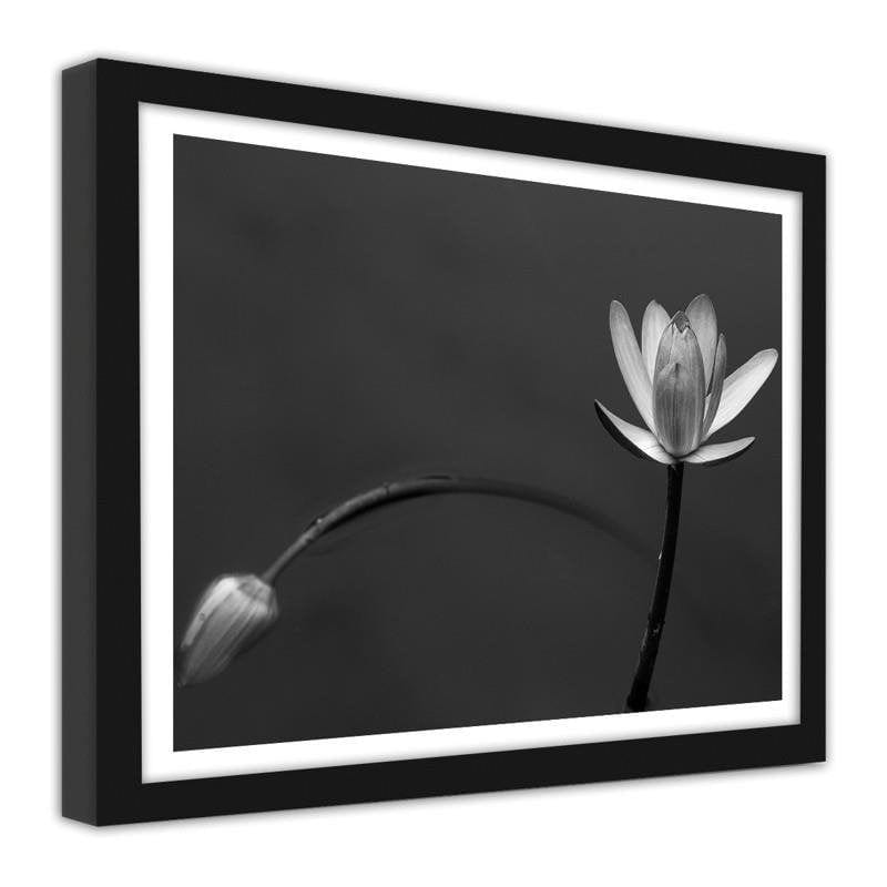 Glezna melnā rāmī - White flower 2  Home Trends
