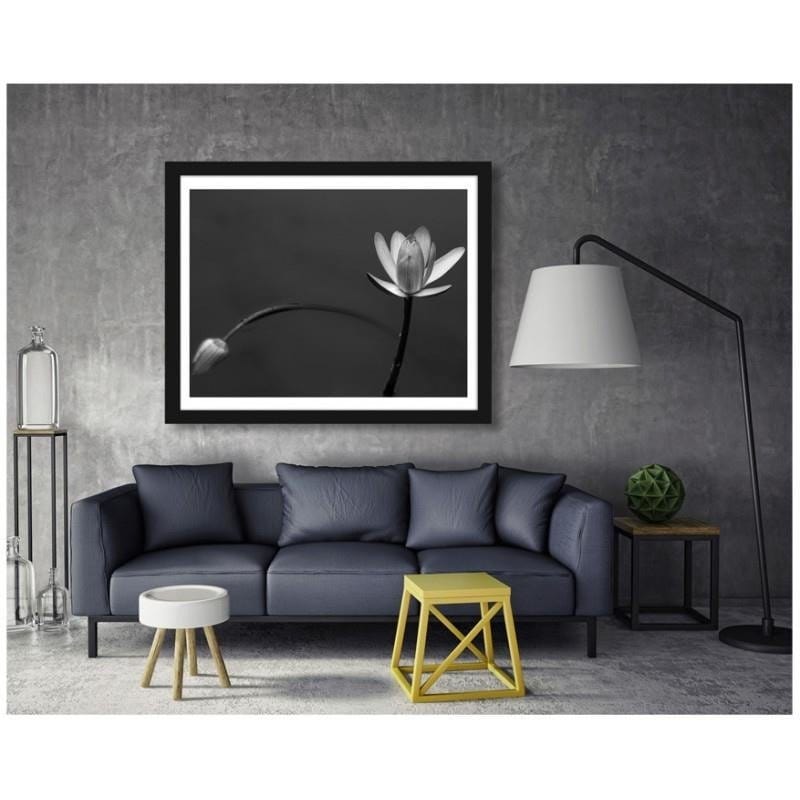 Glezna melnā rāmī - White flower 2  Home Trends