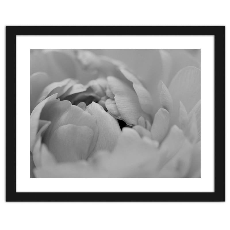 Glezna melnā rāmī - White flower macro  Home Trends