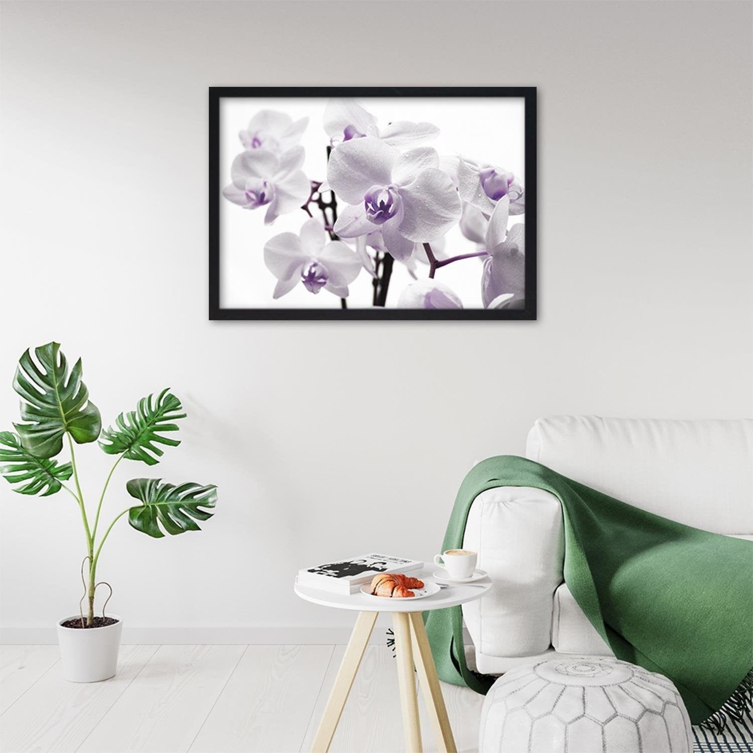Glezna melnā rāmī - White Orchid 3  Home Trends