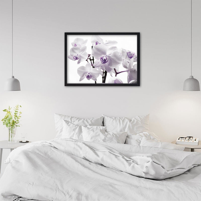 Glezna melnā rāmī - White Orchid 3  Home Trends