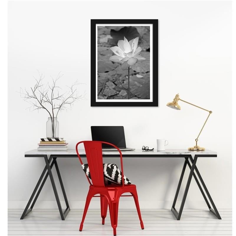 Glezna melnā rāmī - White water lily  Home Trends