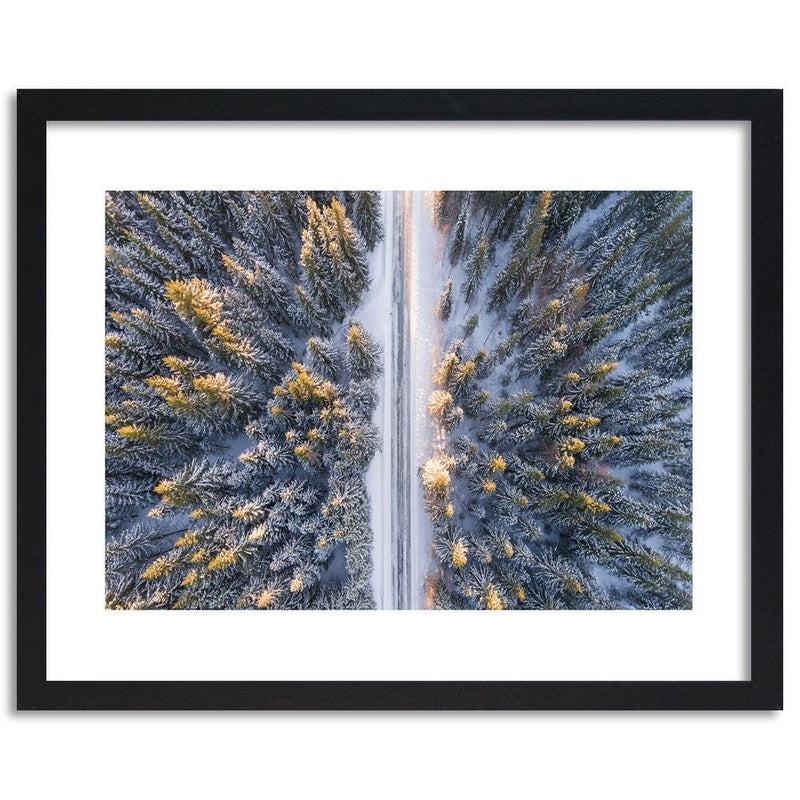 Glezna melnā rāmī - Winter Forest With A Bird's Eye View  Home Trends