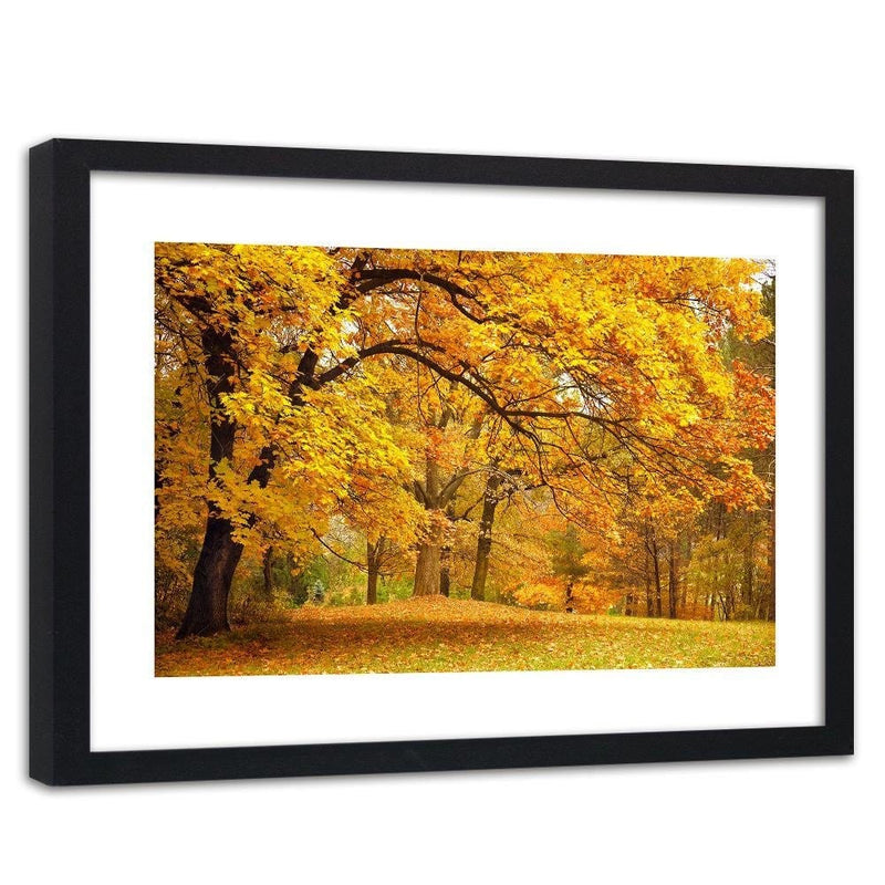 Glezna melnā rāmī - Yellow Autumn Trees  Home Trends