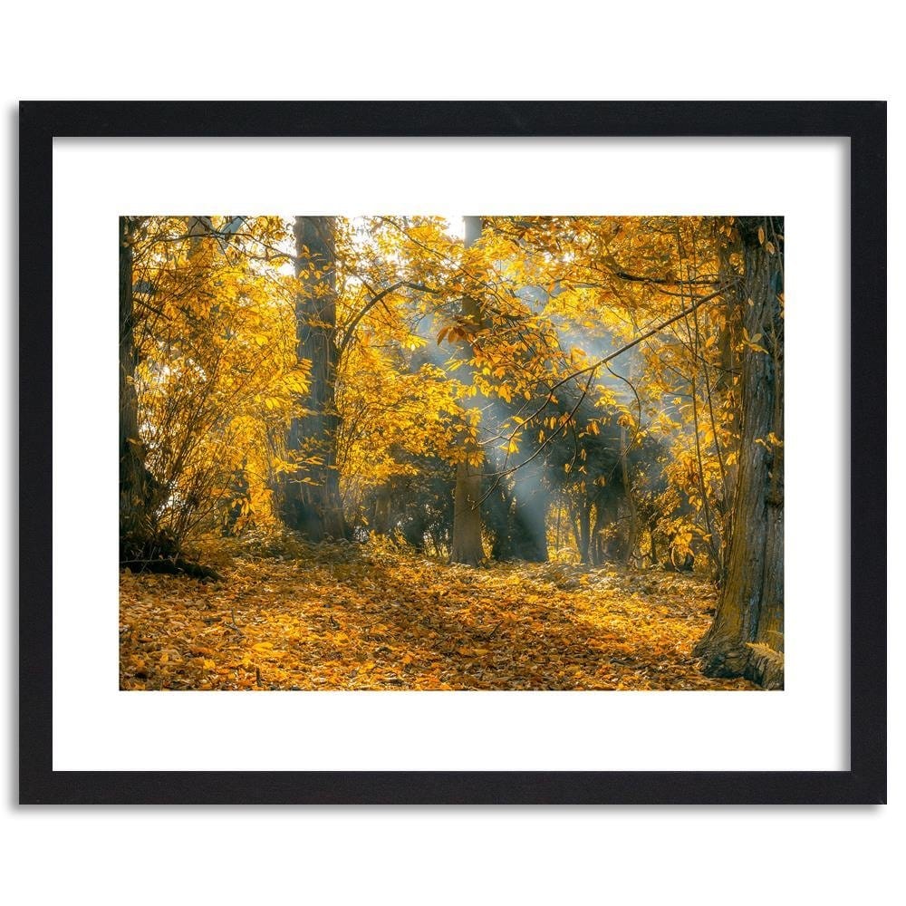 Glezna melnā rāmī - Yellow Trees In The Park  Home Trends