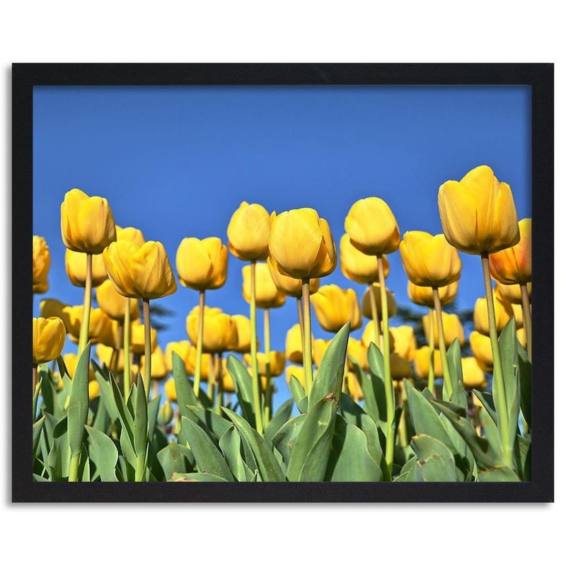 Glezna melnā rāmī - Yellowe Flowers  Home Trends