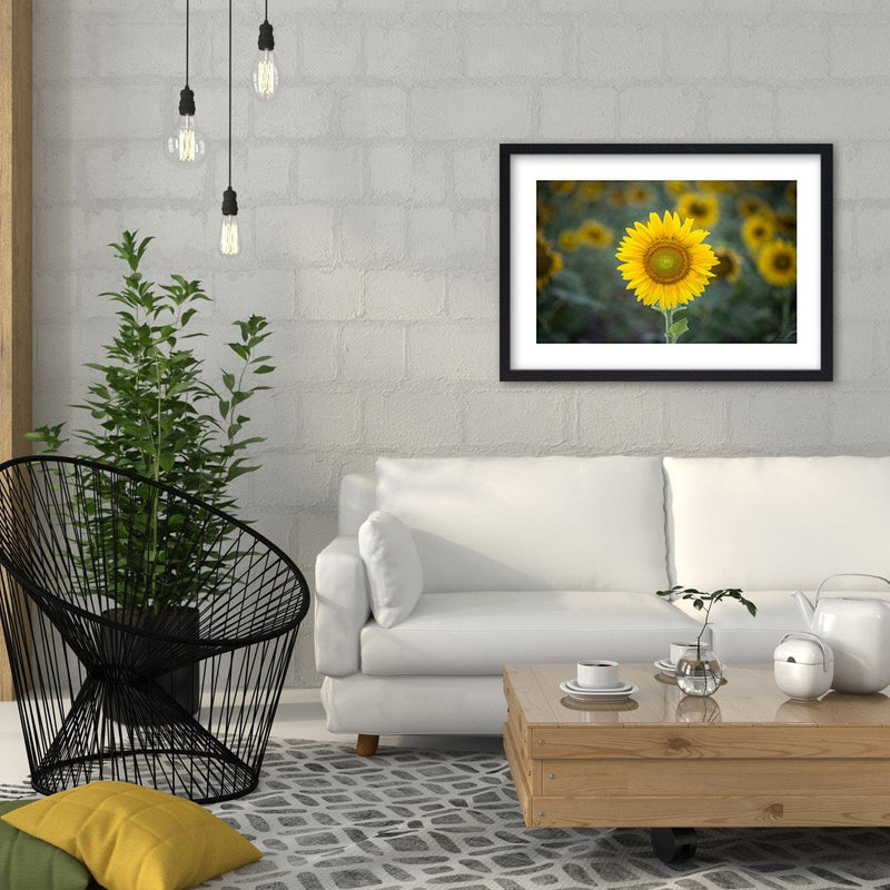 Glezna melnā rāmī - Young Sunflower  Home Trends