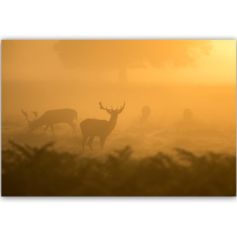 Kanva - A Herd Of Deer At Dawn  Home Trends DECO