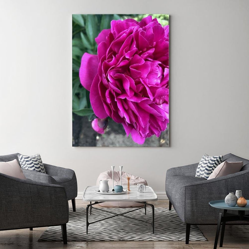 Kanva - A Large Pink Flower  Home Trends DECO