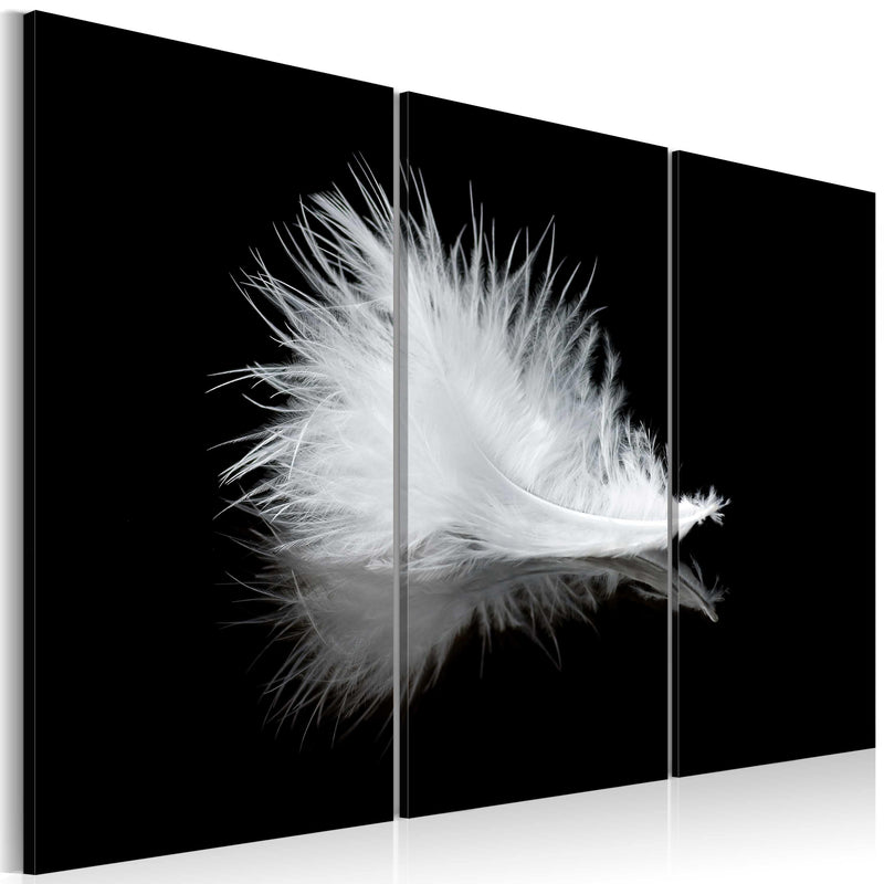 Kanva - A small feather Home Trends