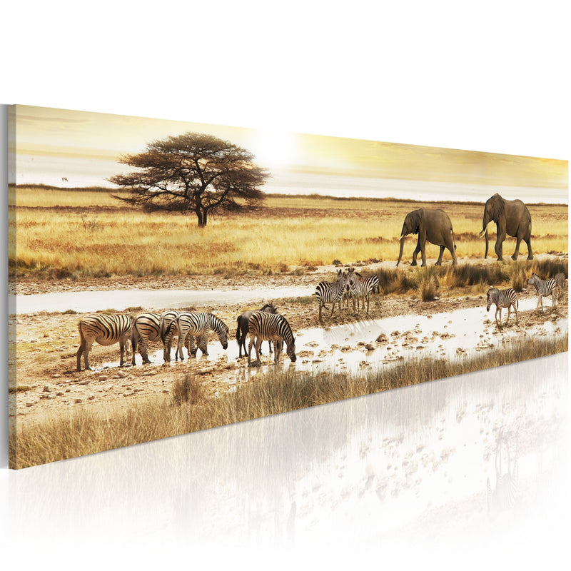 Kanva - Africa_ at the waterhole Home Trends