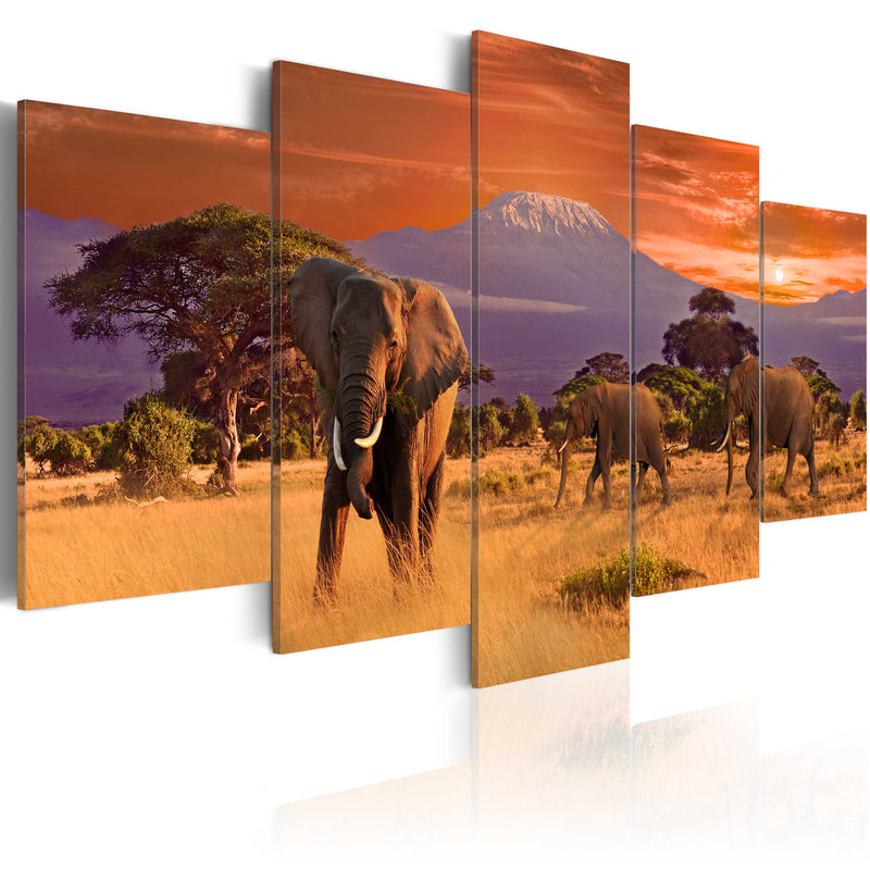 Glezna - Africa_ Elephants Home Trends