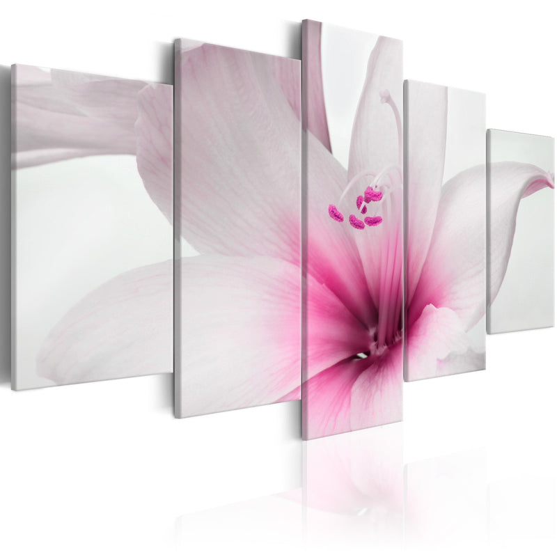 Kanva - Amarylis_ Pink Charm Home Trends