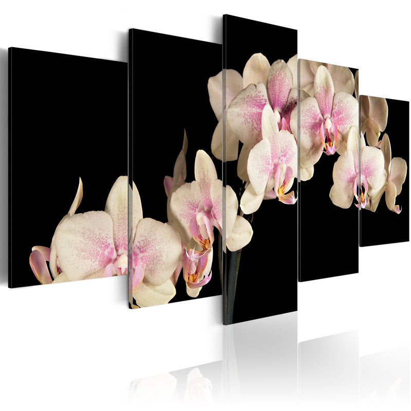 Glezna - An orchid on a contrasting background Home Trends
