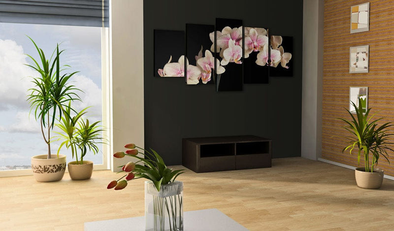Kanva - An orchid on a contrasting background Home Trends