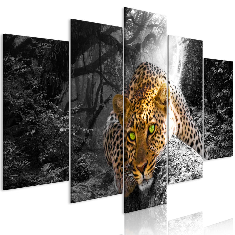Kanva ar dabas motīvu - Guļošais leopards (5 daļas) plata, pelēka Home Trends