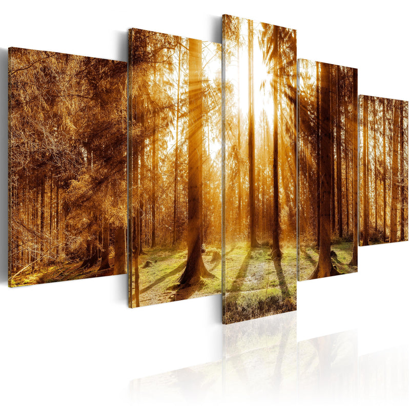 Glezna ar dabas tematiku - Meža izgaismojums Home Trends